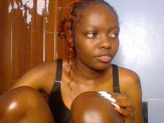 Fun-gal webcam