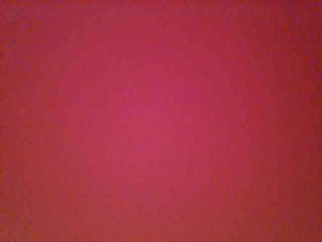 Fun-gal webcam