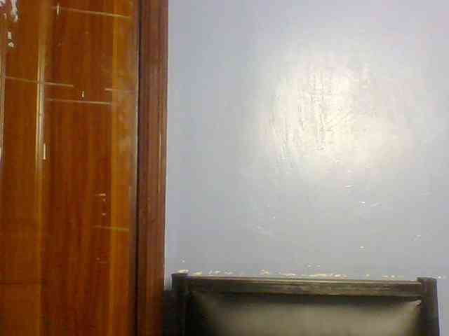 Fun-gal webcam