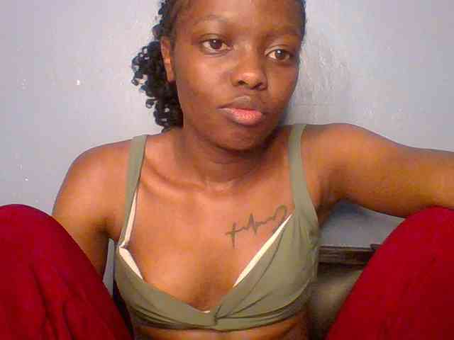 Fun-gal webcam