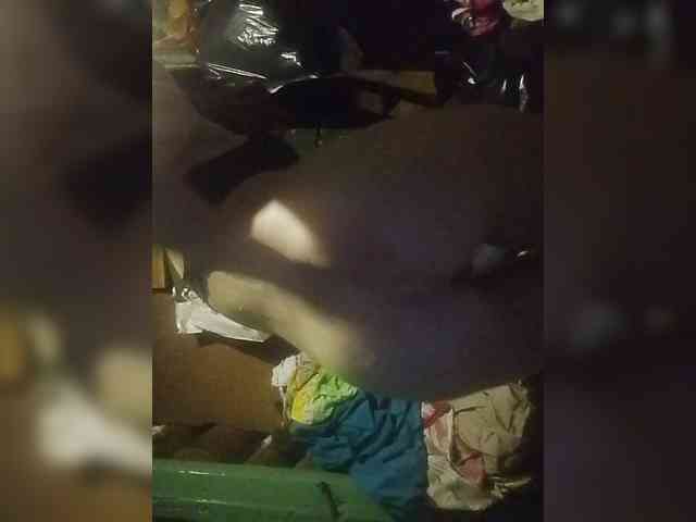 HannaOrutes webcam