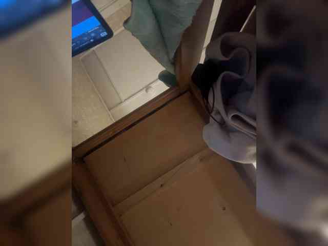 RiaLowelyt webcam