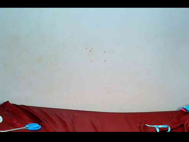 Lu-Butterfly webcam