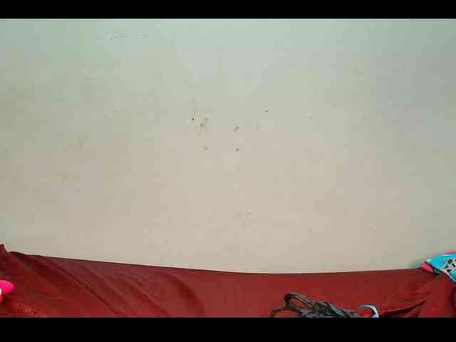 Lu-Butterfly webcam
