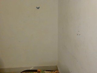 Nasty-Wet-pussyy Porn Show
