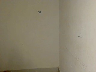 Nasty-Wet-pussyy Porn Show