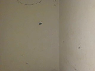 Nasty-Wet-pussyy Porn Show