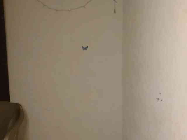 Nasty-Wet-pussyy webcam