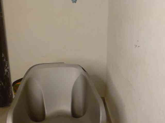 Nasty-Wet-pussyy webcam