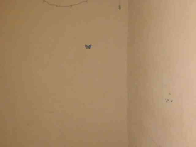 Nasty-Wet-pussyy webcam