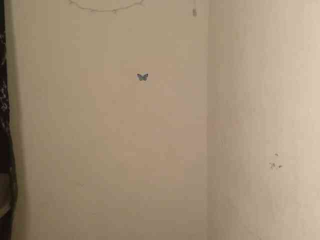 Nasty-Wet-pussyy webcam