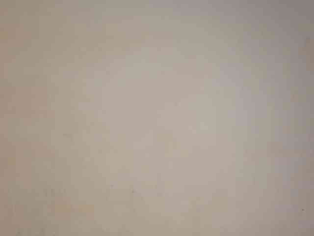 Nasty-Wet-pussyy webcam