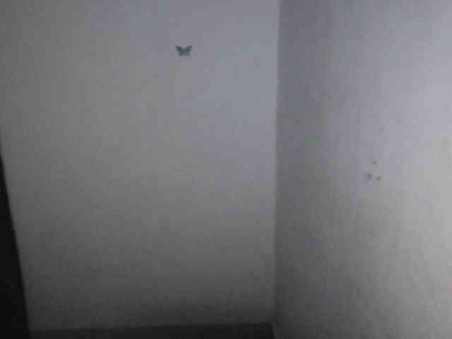 Nasty-Wet-pussyy webcam
