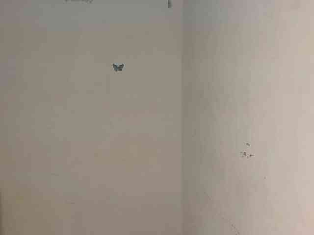 Nasty-Wet-pussyy webcam