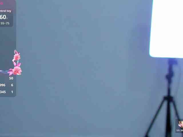 VEXORYN webcam