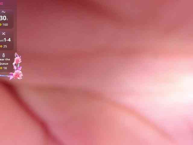 VEXORYN webcam