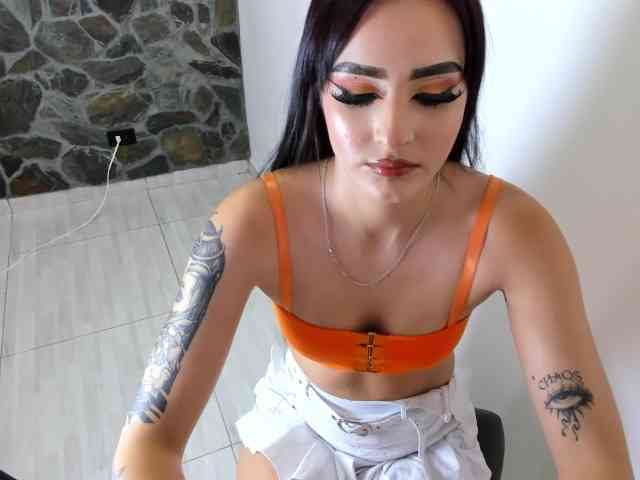 VEXORYN webcam