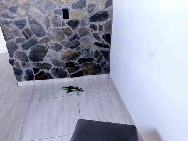 VEXORYN webcam