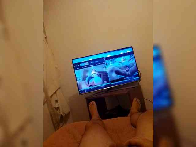 bigredveinyperuviancock