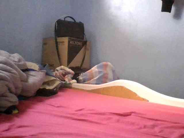Sweetpussy22 webcam