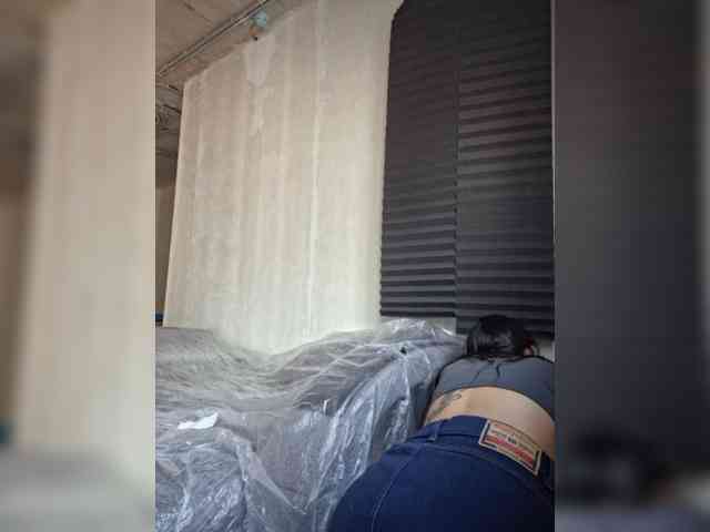 ALICEm webcam