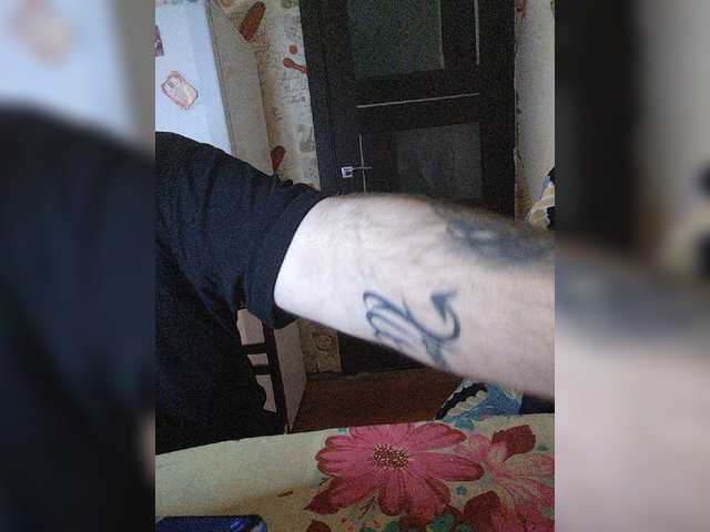 Pingwin89