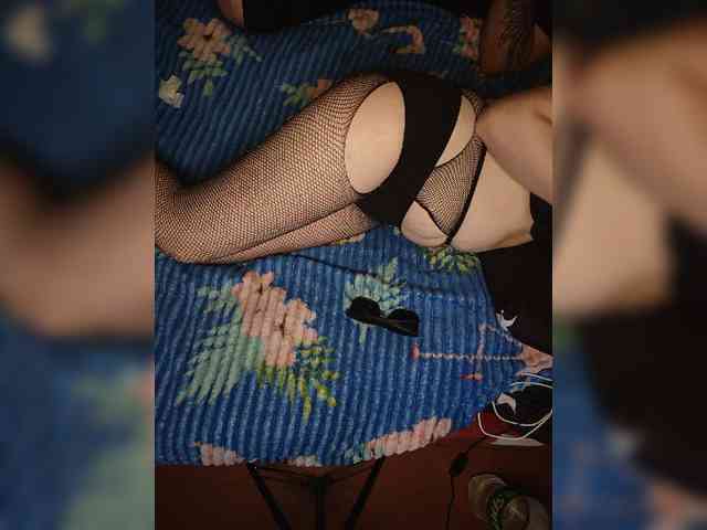 Pingwin89 webcam