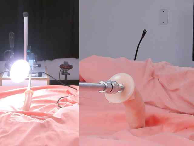 Lizz-Bela webcam