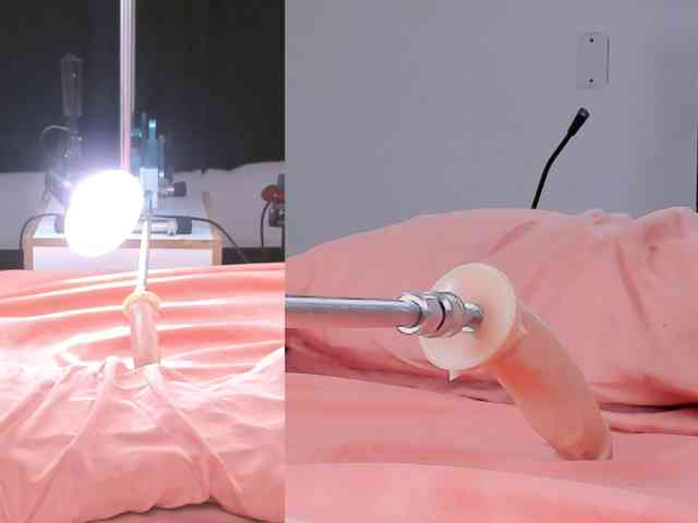 Lizz-Bela webcam