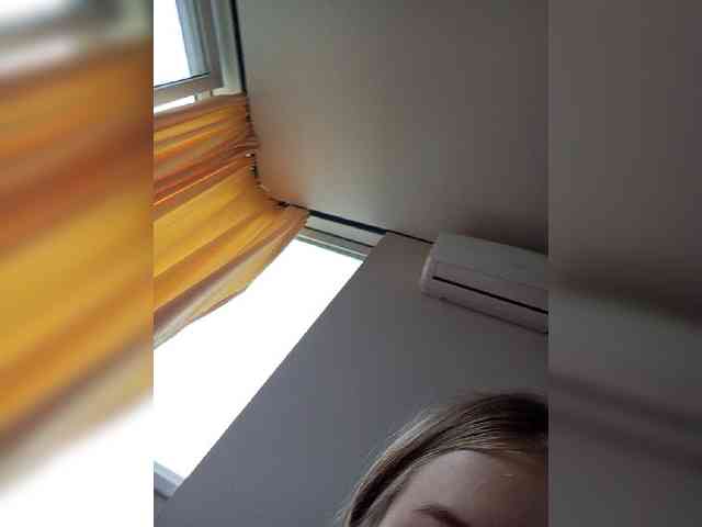 FackLanna webcam