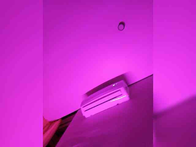 FackLanna webcam