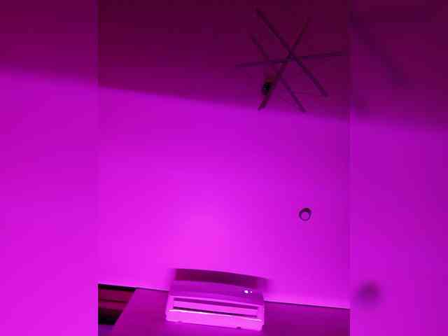 FackLanna webcam