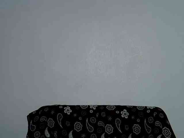 LadyNoire webcam