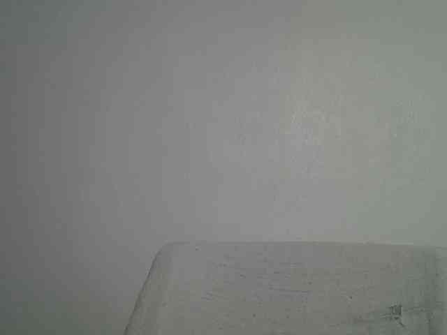 LadyNoire webcam