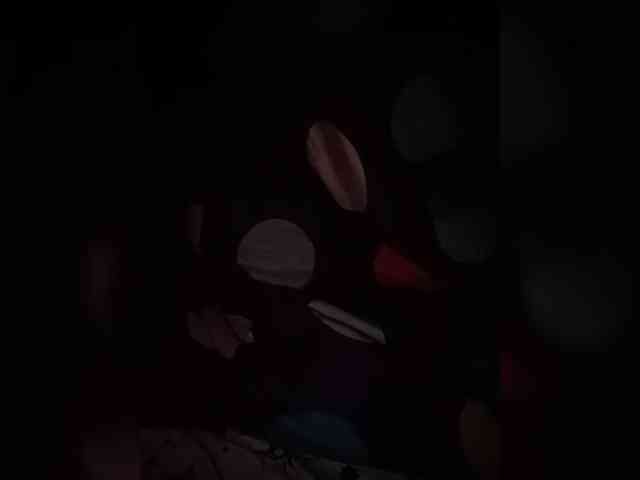 midnightduo