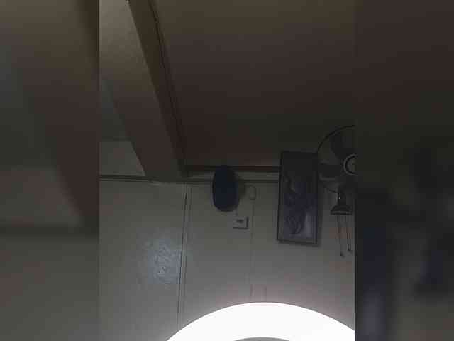 midnightduo webcam