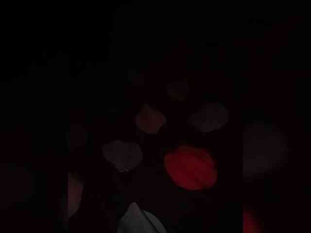 midnightduo