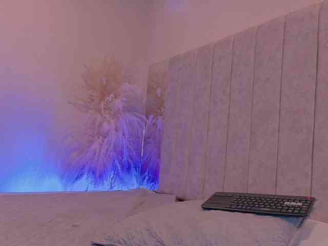 Elektra--9 webcam