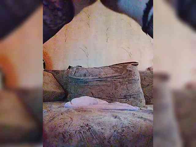 alexaaaq Sex Cam Show