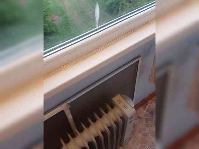 Valerrik webcam