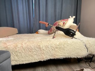All-in-pussy Porn Show