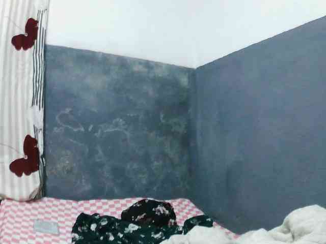 Florida69 webcam