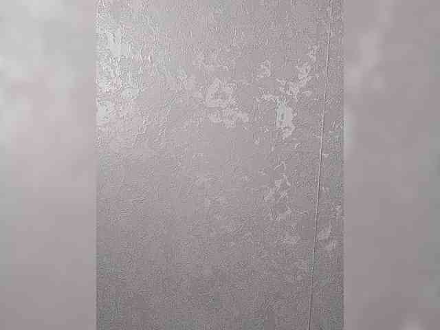 Bylka8 webcam