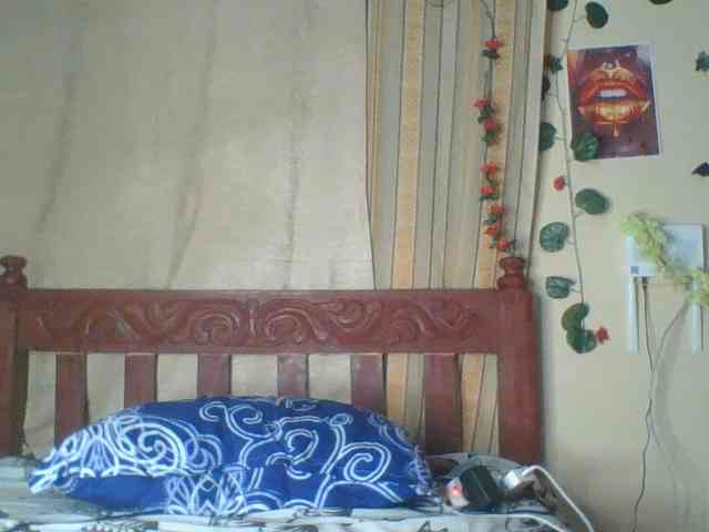 Monday- webcam