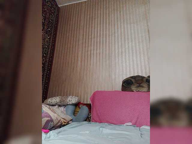 shamil20054