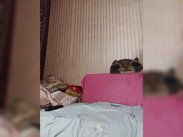 shamil20054 live webcam show