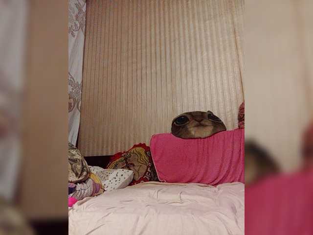 shamil20054 live cam on BongaCams