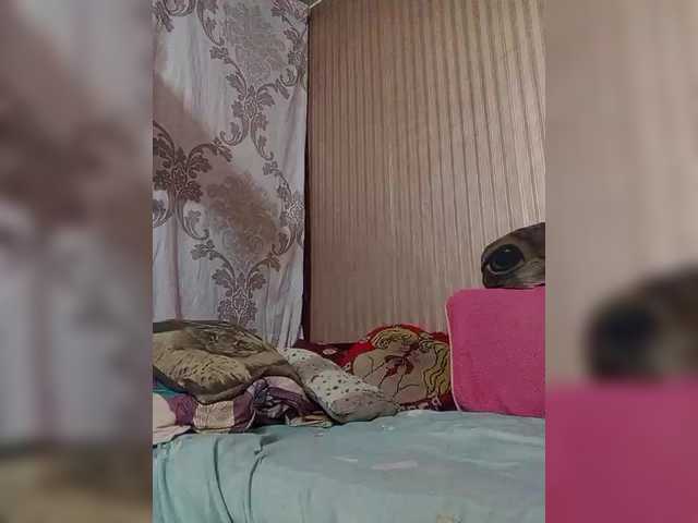 shamil20054 live cam on BongaCams