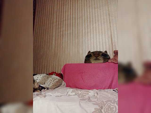 shamil20054 Live Cam on BongaCams