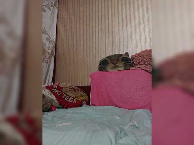 shamil20054